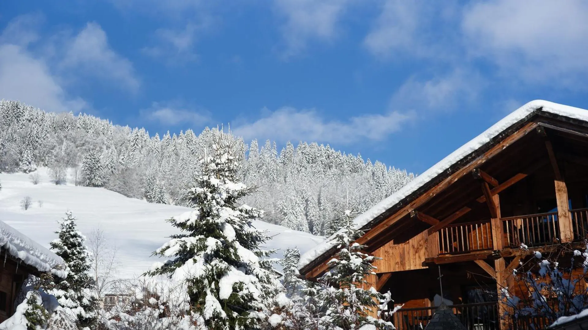Chalets De L'Alpaga Megeve