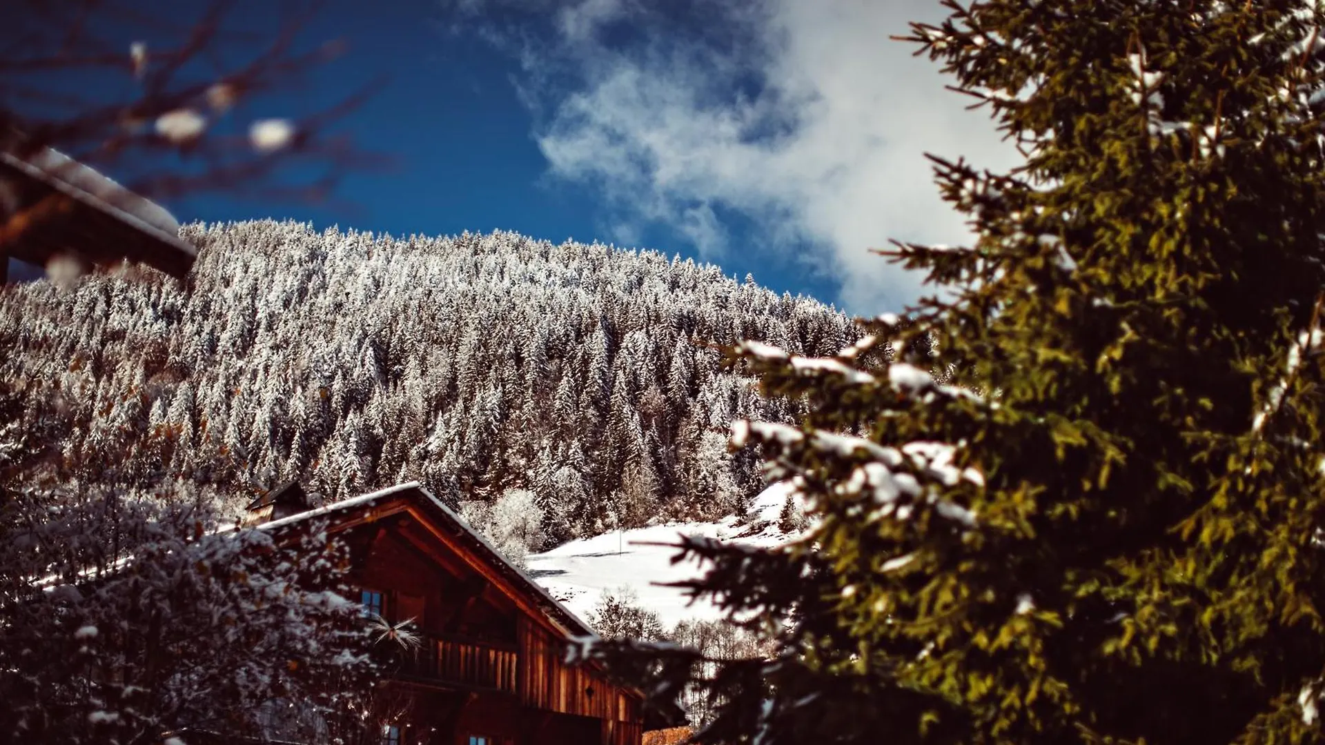 Chalets De L'Alpaga Megeve